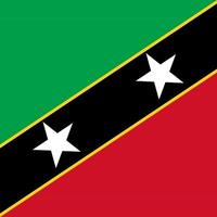 saint kitts och nevis square nationalflagga vektor