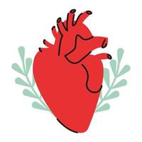 hjärtats anatomiska organ vektor