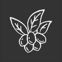 jojoba kritvit ikon på svart bakgrund. frukter med löv. botanik. brasiliansk exotisk växt. mirakelfrukt. produktion av kosmetisk olja. isolerade svarta tavlan vektorillustration vektor