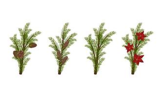 uppsättning av grön julgran eller tall grenar med bruna kottar och röd julstjärna blomma. festlig inredning för nyår, element för design julkrans på dörren. platt vektor illustration