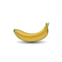 realistische Bananenvektorillustration vektor