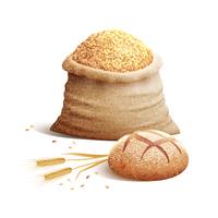 Brot und Konzept des Kornes 3d vektor