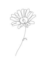 durchgehende einzeilige Darstellung einer Blume vektor