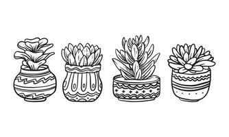 Set von Topfpflanzen handgezeichnete Vektorgrafiken, Pflanzen isolierte Grafikelemente für das Design, Sukkulenten mit Blättern Illustration, um romantisches oder Vintage-Design zu schaffen. vektor