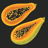 exotisk papayafrukt med frön på mörk bakgrund vektor