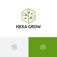 Sechseck wachsen Pflanzensamen Natur Landwirtschaft Logo vektor