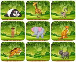 Sats av djur i djungelscener vektor