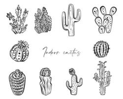 Kaktus-Sammlung. Skizze Stil Indoor Kakteen Vektorgrafiken Set vektor