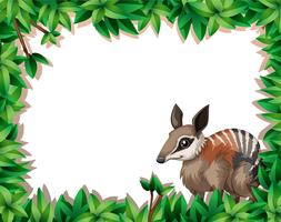 En numbat på naturramen vektor