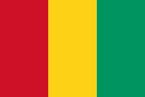 Guinea flagga vektor