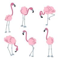 doodle rosa flamingo samling. vektor