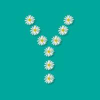 bokstaven y från vita kamomillblommor. festlig typsnitt eller dekoration för våren eller sommaren semester och design. platt vektor illustration