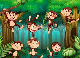 viele Affen-Cartoon-Figur, die im Dschungel spielt
