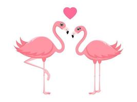 zwei rosa Flamingos, die mit Herzformsymbol isoliert stehen vektor