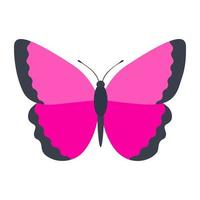 rosa Morpho-Schmetterling vektor
