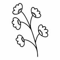 ein Zweig Wildblumen im Doodle-Stil. Frühlingsillustration von Hand. Vektorelement für die Gestaltung einer Postkarte. vektor