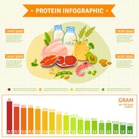 Hälsosam Proteinmat Infografisk Plattaffisch vektor