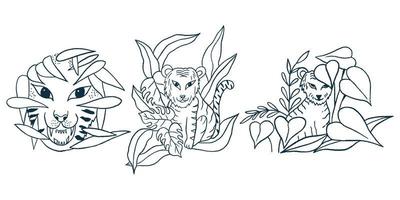 Umriss-Doodle-Tiger-Sammlung für Kinder pädagogisch, Malbuch vektor