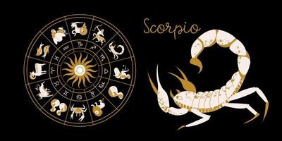 Sternzeichen Skorpion. Horoskop und Astrologie. volles Horoskop im Kreis. Horoskop-Rad-Tierkreis mit zwölf Zeichen Vektor. vektor