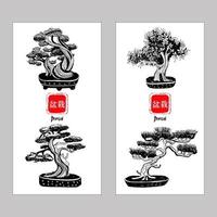 Set mit 4 Bonsai-Bäumen. Vektor handgezeichnete Schwarz-Weiß-Darstellung auf weißem Hintergrund. Inschrift in japanischen Bonsai-Zeichen.