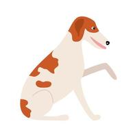 Barsoi Hunderasse. Cartoon-Hund isoliert auf weißem Hintergrund. Vektor-Illustration einer Haustierwohnung vektor