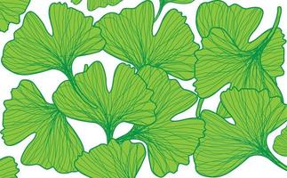 grüner Ginkgo biloba verlässt Musterhintergrund. Vektor-Illustration vektor