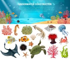 Sea Life Constructor Isolerade ikoner Set vektor