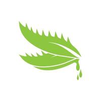 Aloe vera Logo Symbol Design Symbol Schönheit vektor