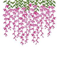 rosa lila orkidé vacker bakgrund vektor