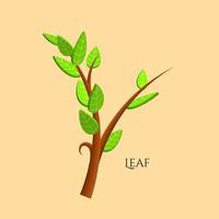 gröna blad 3d relaistiska ikoner ekomiljö eller bioekologi vektorsymboler. sammansättning av 3d stiliserade löv vektor