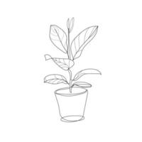 inomhusväxt i en kruka hand ritning illustration, kontur stil. vektor linjär illustration av en ficus blomma i en kruka, isolerad på vit bakgrund