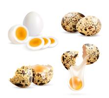 Realistiska Quail Eggs Set vektor