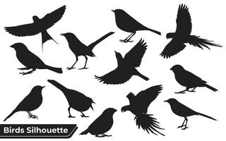 flygande olika typer av fåglar siluett med vingar