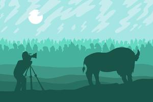 fotograf fotograferar bison vektor