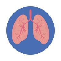 lungor mänskliga organ isolerade ikon vektor