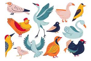 helle vögel vektorsatz. 12 Weihnachtsvögel Illustrationen. große reihe süßer vögel vektor