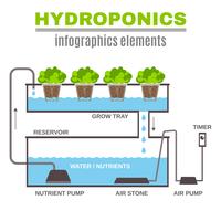 infografisk hydroponisk illustration vektor