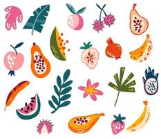 tropiska frukter och löv. exotiska söta frukter. bananer, papaya, mango, päron, körsbär, litchi och mer. hälsosam sommarmatkollektion. hand rita vektorillustration vektor