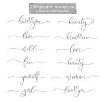 kalligrafiska inskriptioner för t-shirtdesign och mockups. vektor