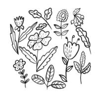 Sammlung von Blumenelementen im Doodle-Stil. handgezeichnete dekorative Blätter und Blumen. Äste mit Blättern und Blumen. vektor
