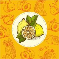 Zitrone, Limette. Frucht. Vektor-Illustration. Die Frucht ist handgezeichnet. handgezeichnete Vektor-Illustration. vektor