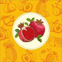 Granatapfel. Frucht. Vektor-Illustration. Die Frucht ist handgezeichnet. handgezeichnete Vektor-Illustration. vektor