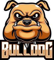 bulldog huvud maskot logotyp vektor