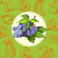 Trauben, blaue Trauben. der Traubensaft. Frucht. Vektor-Illustration. Die Frucht ist handgezeichnet. handgezeichnete Vektor-Illustration. vektor