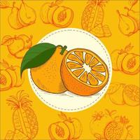 orange. frukt. vektor illustration. frukten är handritad. handritad vektorillustration.