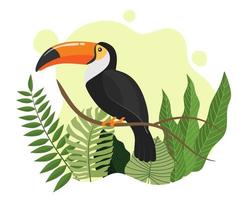 Tukanvögel auf tropischen Zweigen mit Blättern. vektor