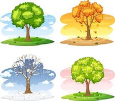 olika träd under fyra årstider vektor