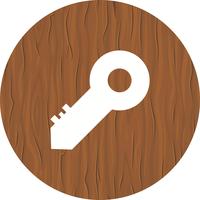 Key Icon Design vektor