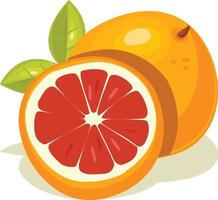 Grapefruit-Vektor-Illustration vektor