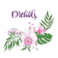 Floral design ram. Orchid, eukalyptus, grönska. Bröllopskort. vektor